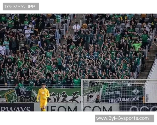 国安逆袭大埔法比奥精彩一停一射连追三球实现反超胜利 国安逆袭大埔法比奥精彩一停一射连追三球实现反超胜利